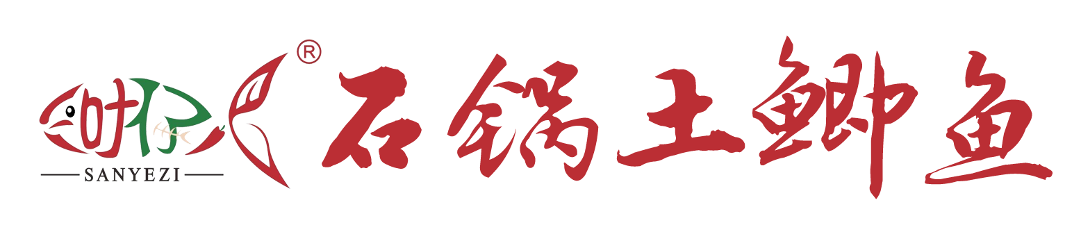 探索黑料网51：揭秘第一黑料与抖音纸相册背后的故事